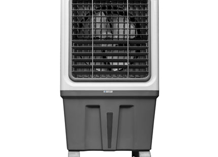 Alexandra-150L Auto Swing