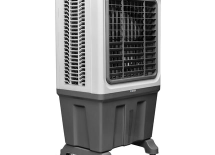 Alexandra-150L Auto Swing