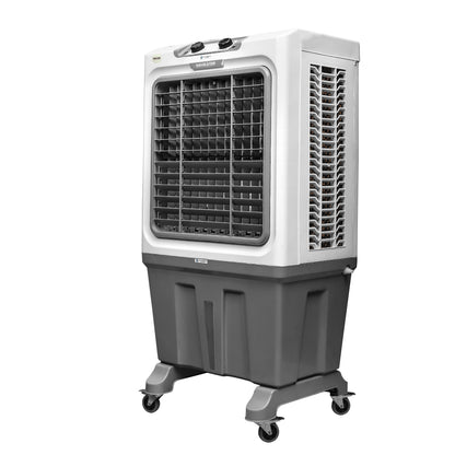 Alexandra-150L Auto Swing