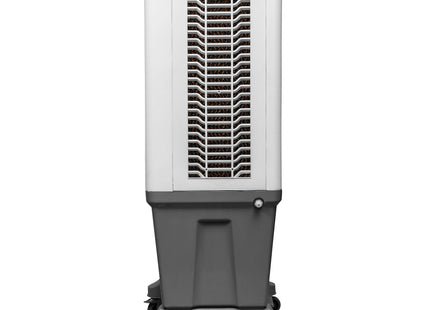 Alexandra-150L Auto Swing