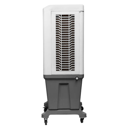 Alexandra-150L Auto Swing