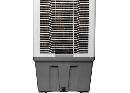 Alexandra-150L Auto Swing