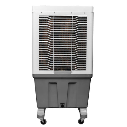 Alexandra-150L Auto Swing