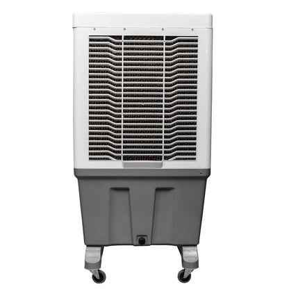 Alexandra-150L Auto Swing